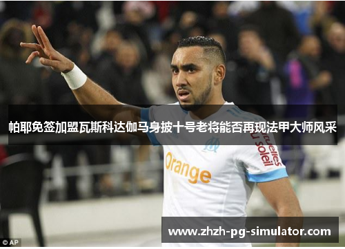 帕耶免签加盟瓦斯科达伽马身披十号老将能否再现法甲大师风采 帕耶免签加盟瓦斯科达伽马身披十号老将能否再现法甲大师风采