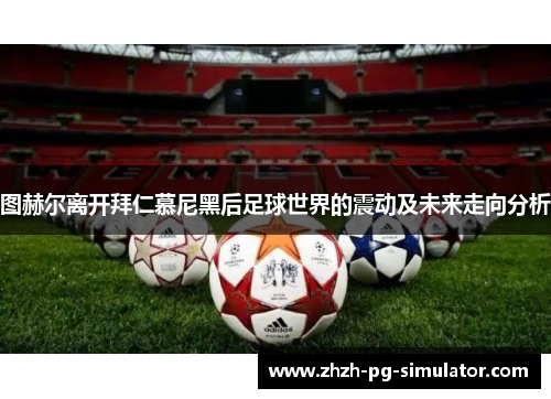 图赫尔离开拜仁慕尼黑后足球世界的震动及未来走向分析